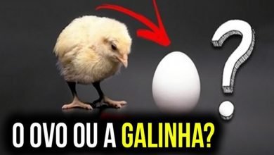 7 perguntas que você sempre quis saber a resposta 4