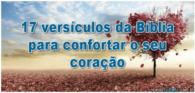 17 versículos da Bíblia para confortar o seu coração 7