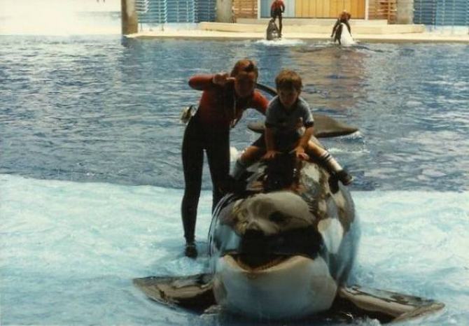 A vida é curta, então, aproveite ao máximo! (41 fotos) 12