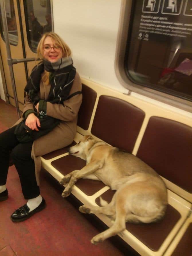 27 animais atrevidos que se agem completamente imprevisivelmente 16