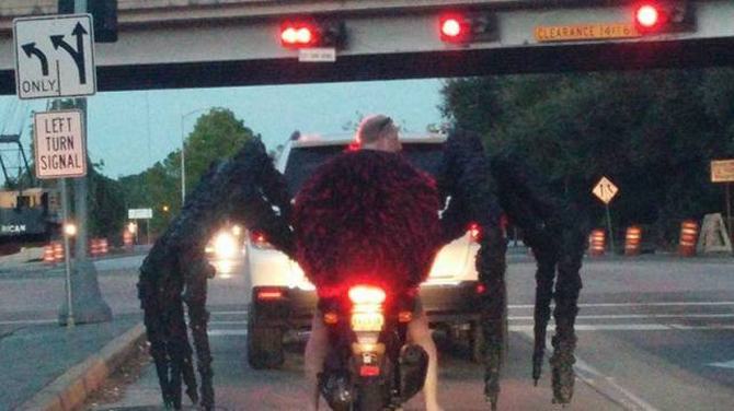 Como eles conseguem suas licenças de condução ?! (36 fotos) 10