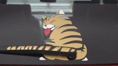 Com a criatividade você pode ir longe (24 fotos) 6