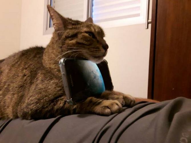 Com a criatividade você pode ir longe (24 fotos) 4