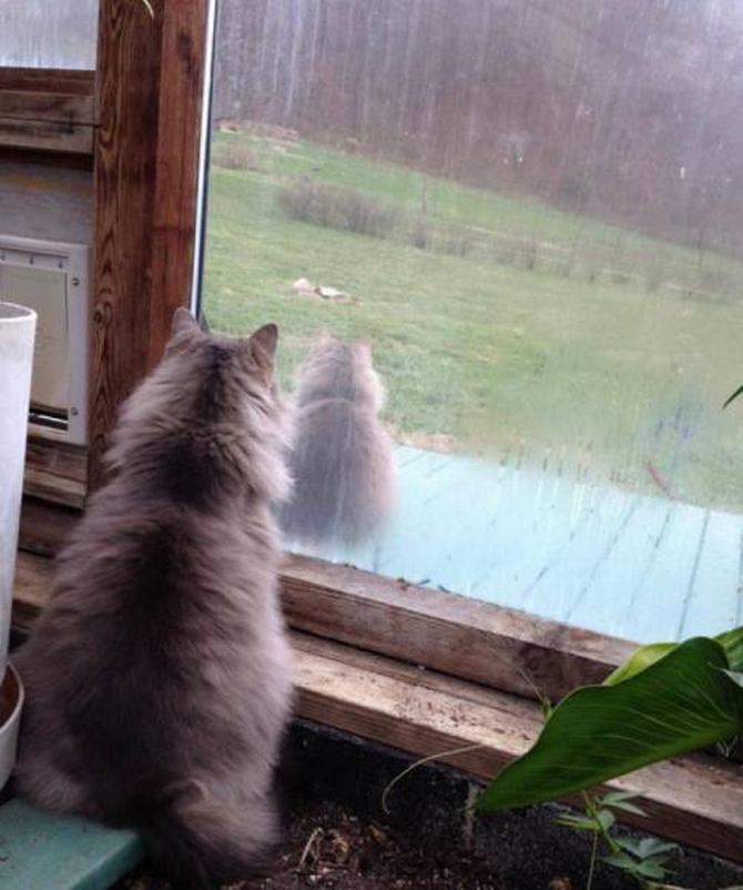 42 fotos para destruir seu cérebro 36