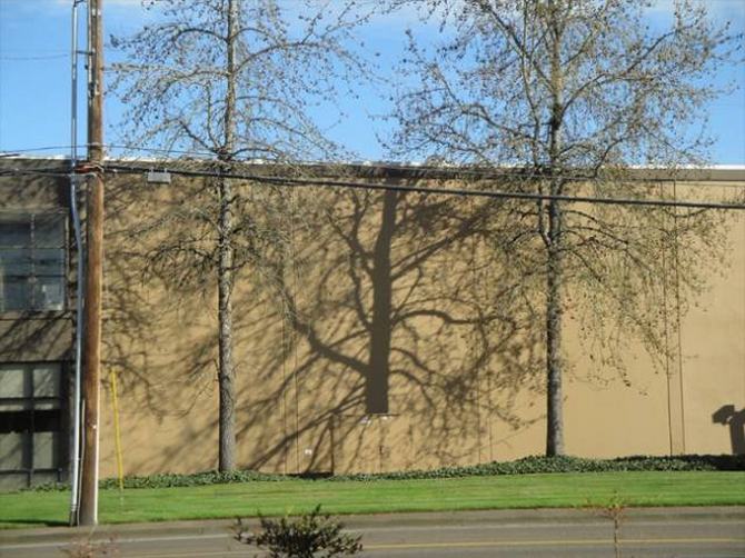 42 fotos para destruir seu cérebro 38