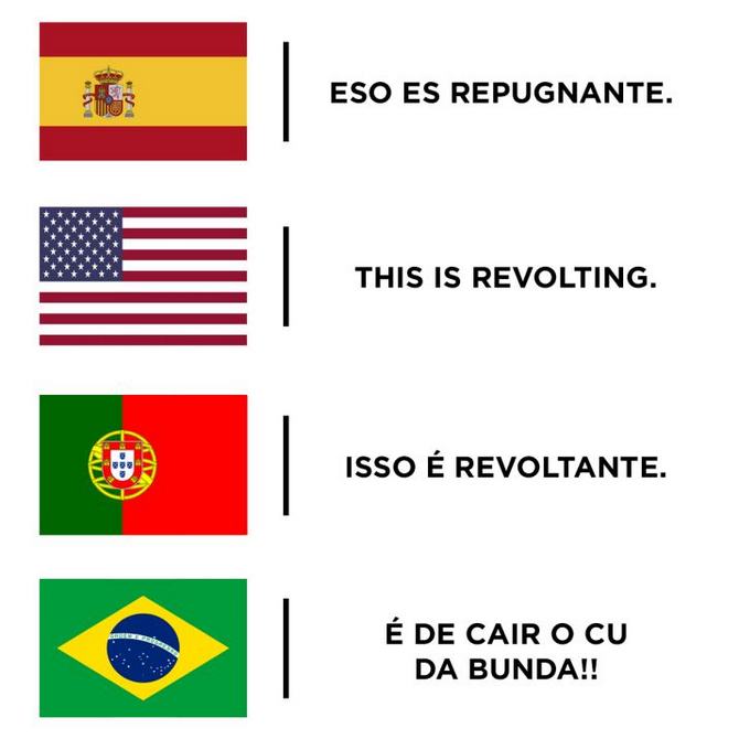 15 motivos que o português do brasileiro é a melhor língua do mundo 11