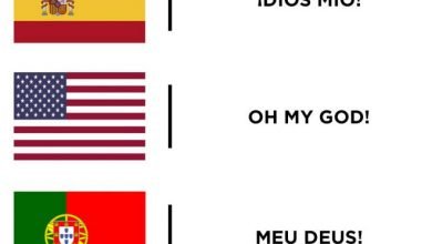 15 motivos que o português do brasileiro é a melhor língua do mundo 8