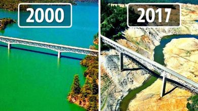 10 mudanças assustadoras na Terra em 17 anos 9