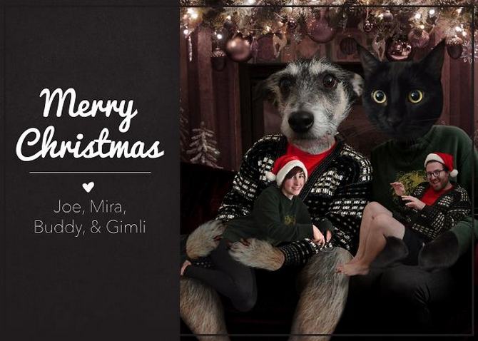 29 pessoas que enviaram os mais divertidos cartões de Natal de todos os tempos 11