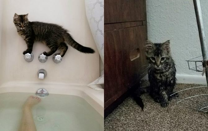 25 pessoas que falharam em maneiras completamente inesperadas 19