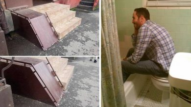 Quem disse que precisa de cérebros para construir (26 fotos) 15