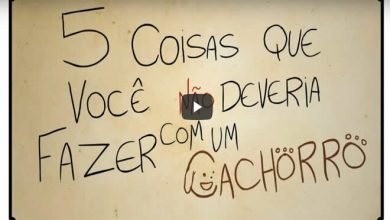 5 coisas que você não deveria fazer com um cachorro 5