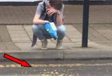A vida não tá fácil pra ninguém (21 fotos) 13