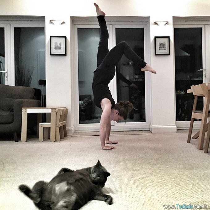 25 animais campeões de photobomb 2