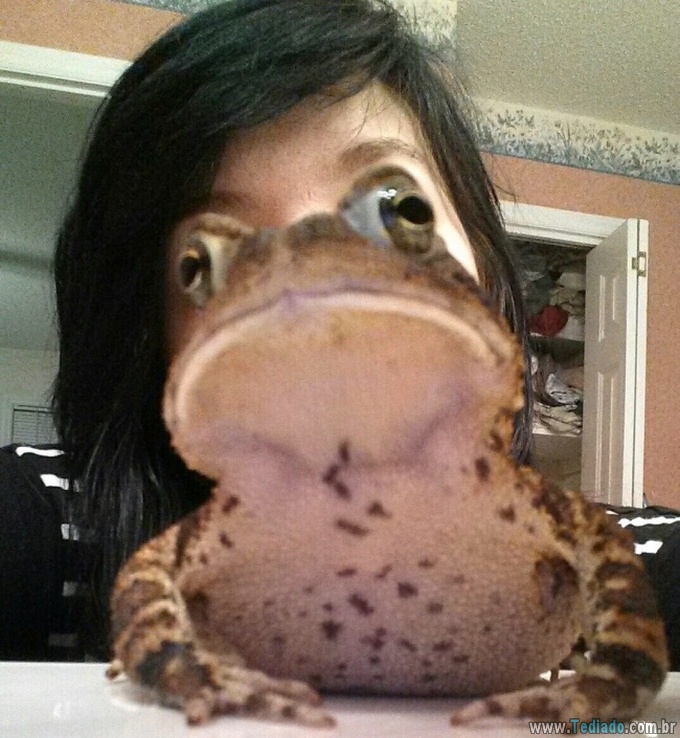 25 animais campeões de photobomb 7