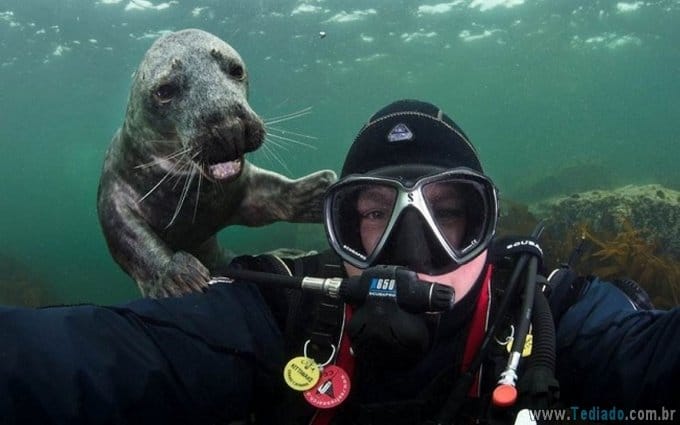 25 animais campeões de photobomb 16