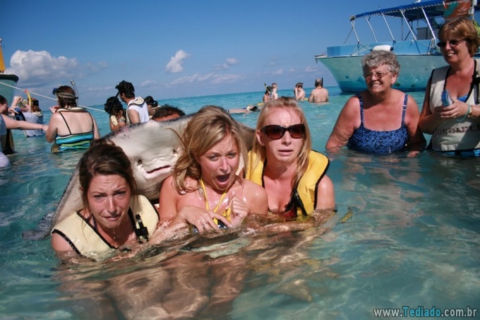 25 animais campeões de photobomb 18