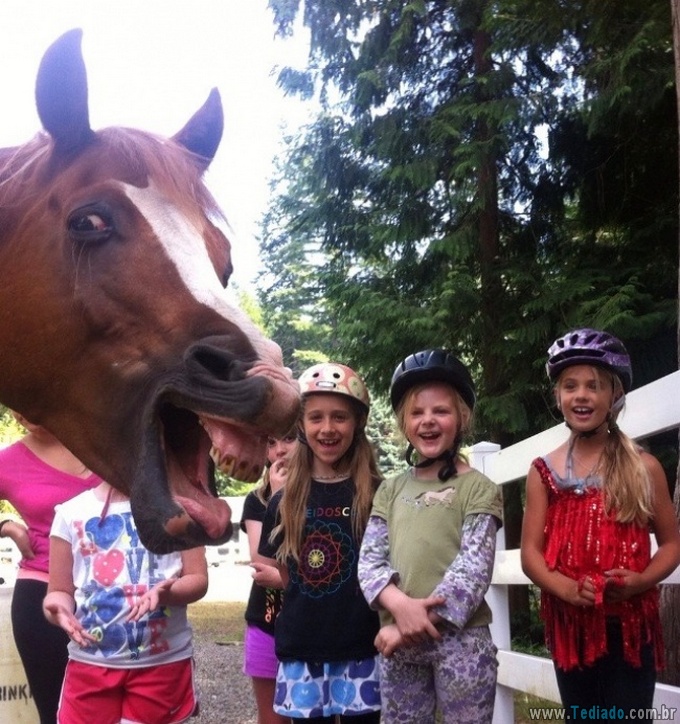 25 animais campeões de photobomb 19