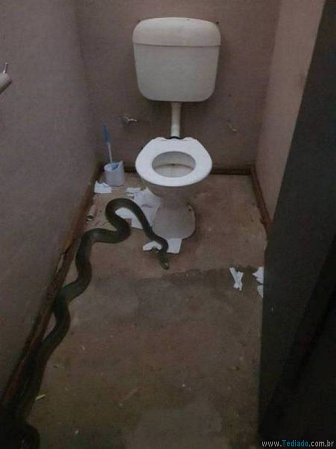 Coisas que eu nunca terei coragem de fazer! (28 fotos) 15