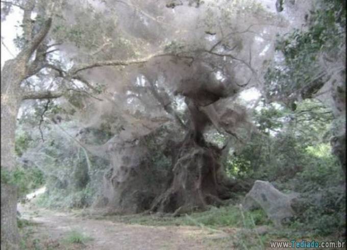 Coisas que eu nunca terei coragem de fazer! (28 fotos) 25