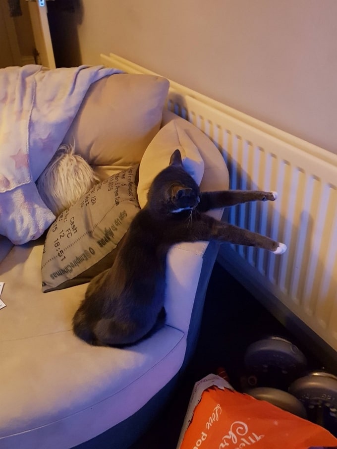 22 fotos estranhas, diferentes que vão desafia toda a logica 10