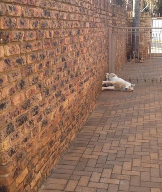 22 fotos estranhas, diferentes que vão desafia toda a logica 12