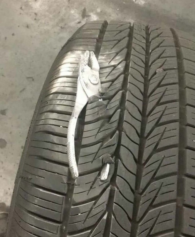 22 fotos estranhas, diferentes que vão desafia toda a logica 20