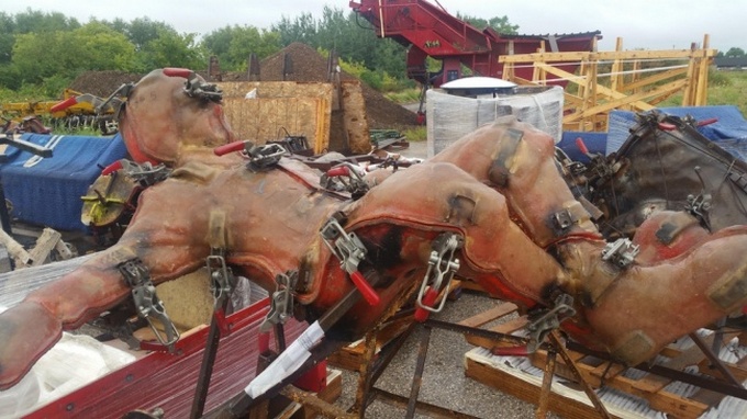 21 fotos incomuns que podem fazer você se sentir como se tivesse visto tudo 21