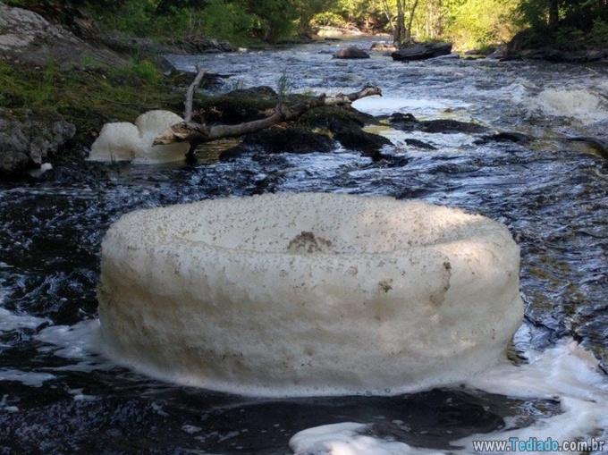 28 fotos que são tão perfeitas que é difícil de tirar nossos olhos delas 22