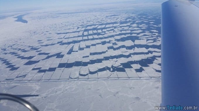 28 fotos que são tão perfeitas que é difícil de tirar nossos olhos delas 26