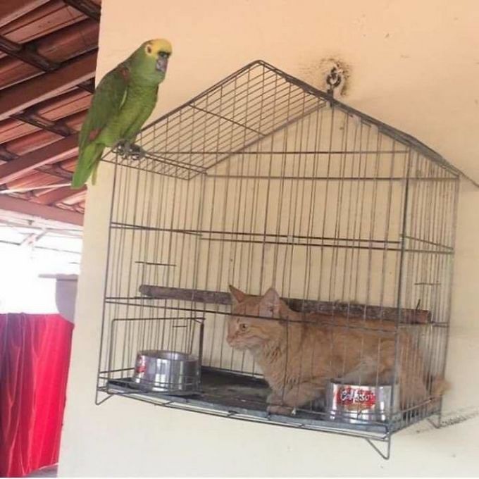 32 fotos que levantam mais perguntas do que respostas 9