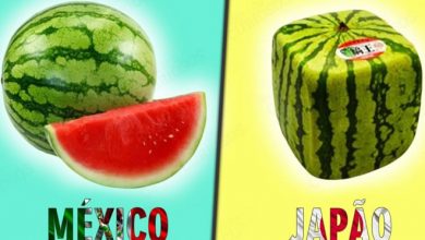 5 diferenças entre México e Japão 53