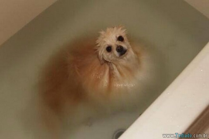 21 pessoas divertidas em casa em momentos diferentes e únicos 10