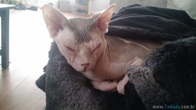 21 pessoas divertidas em casa em momentos diferentes e únicos 12