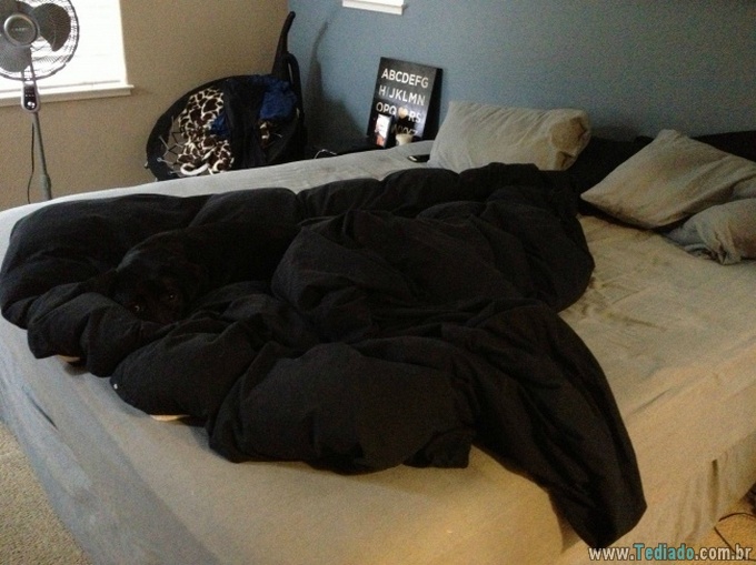 21 pessoas divertidas em casa em momentos diferentes e únicos 15