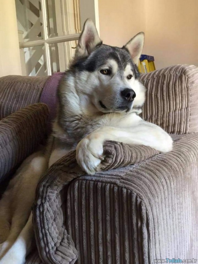 21 pessoas divertidas em casa em momentos diferentes e únicos 17