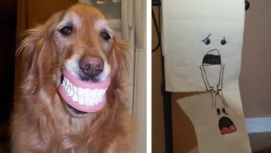 21 pessoas divertidas em casa em momentos diferentes e únicos 51