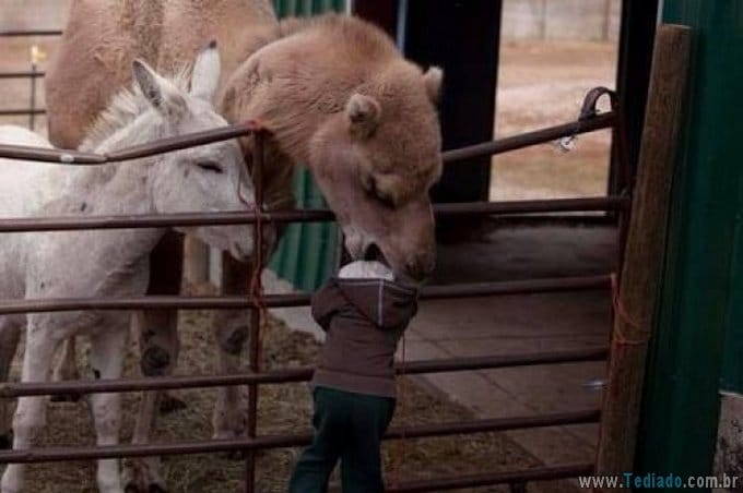 27 pessoas que redescobriram o que significa azarado 1