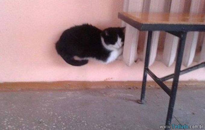 Você não acreditaria nos seus olhos quando você olhar nessas imagens (37 fotos) 11