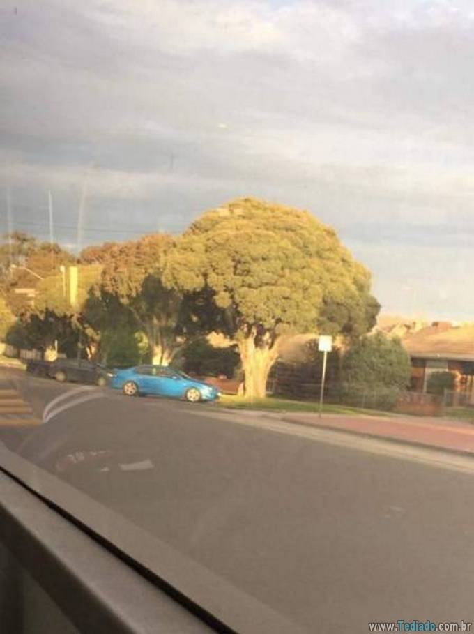 Você não acreditaria nos seus olhos quando você olhar nessas imagens (37 fotos) 19