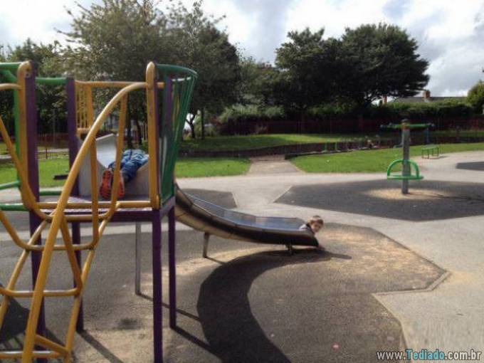 Você não acreditaria nos seus olhos quando você olhar nessas imagens (37 fotos) 28