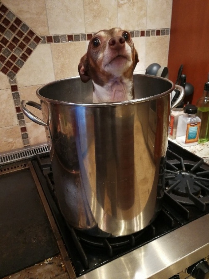 18 adultos que ainda são infantis 4