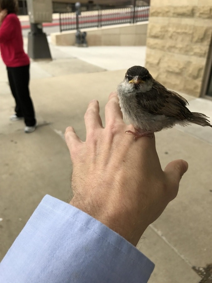 18 adultos que ainda são infantis 11