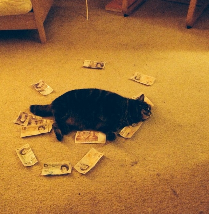 18 adultos que ainda são infantis 13