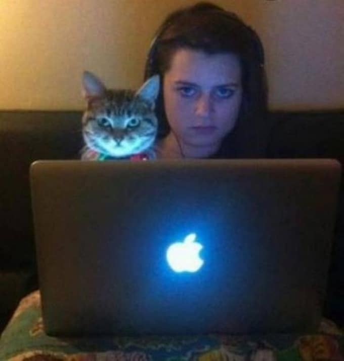 22 animais de estimação que estão evoluindo para seus seres humanos 2