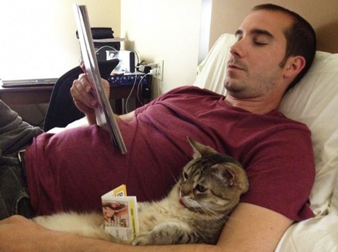 22 animais de estimação que estão evoluindo para seus seres humanos 10