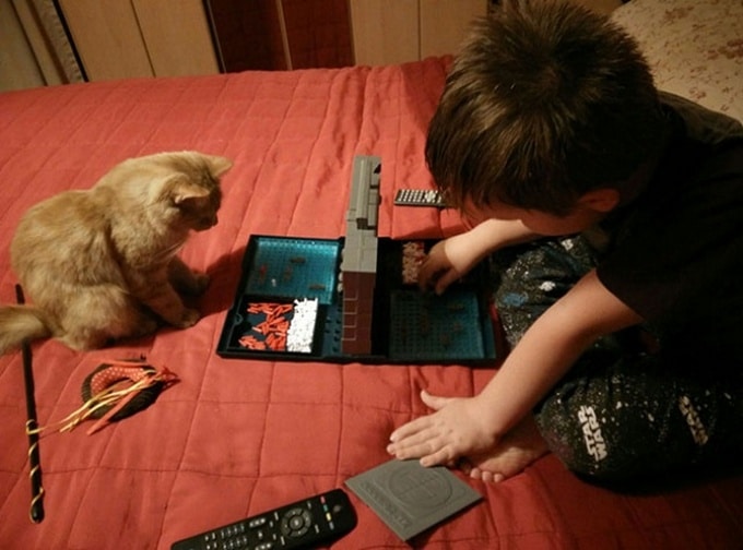 22 animais de estimação que estão evoluindo para seus seres humanos 17