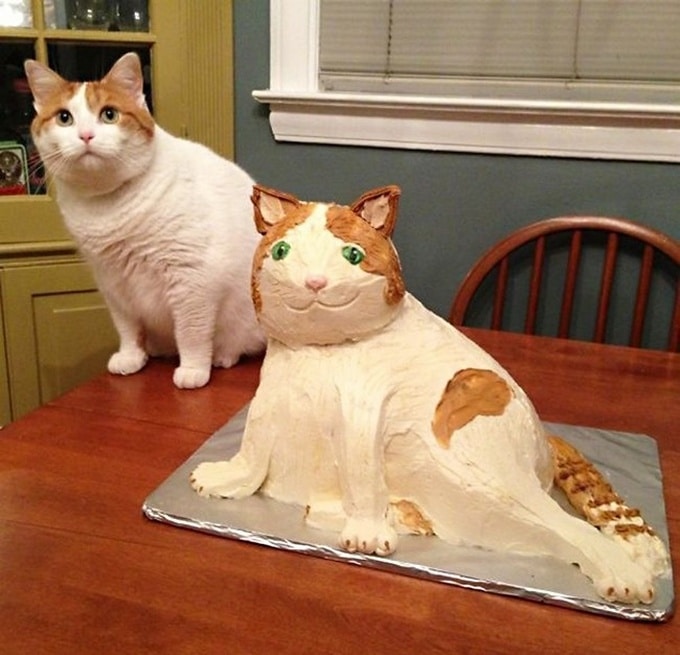 18 bolos engraçados que poderiam ganhar um prêmio da pior sobremesa já feita 13