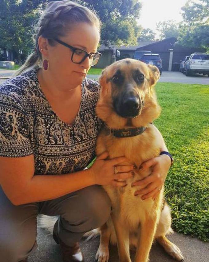 Cachorros realmente não gosta de ir ao veterinário (35 fotos) 24