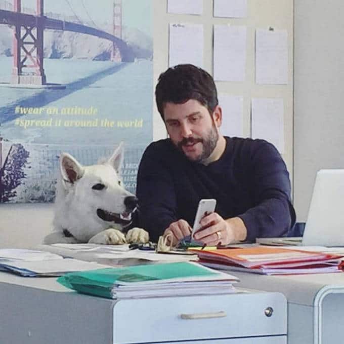 Diversão no trabalho (19 fotos) 2